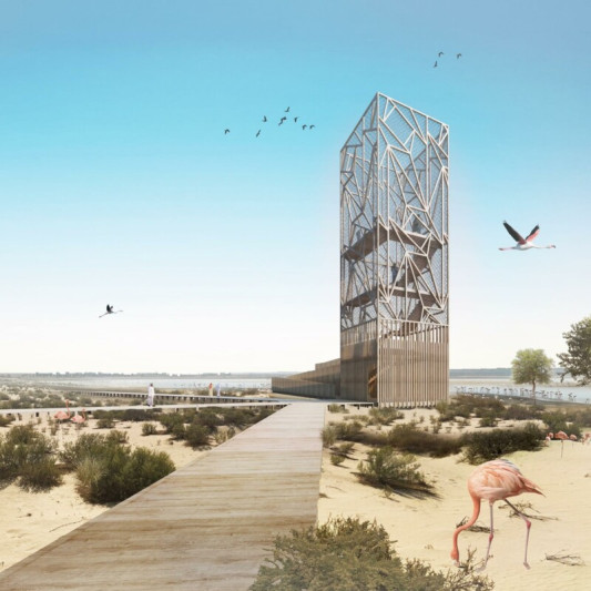 'Framingo': Flamingo Observation Tower Competition