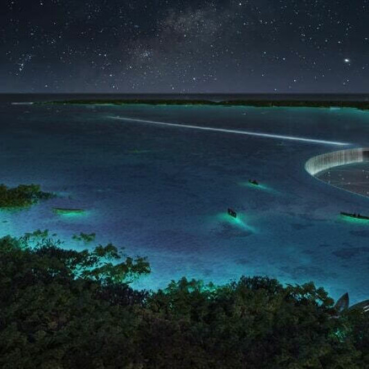 Red Sea Bay Competition