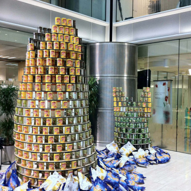Canstruction 2013