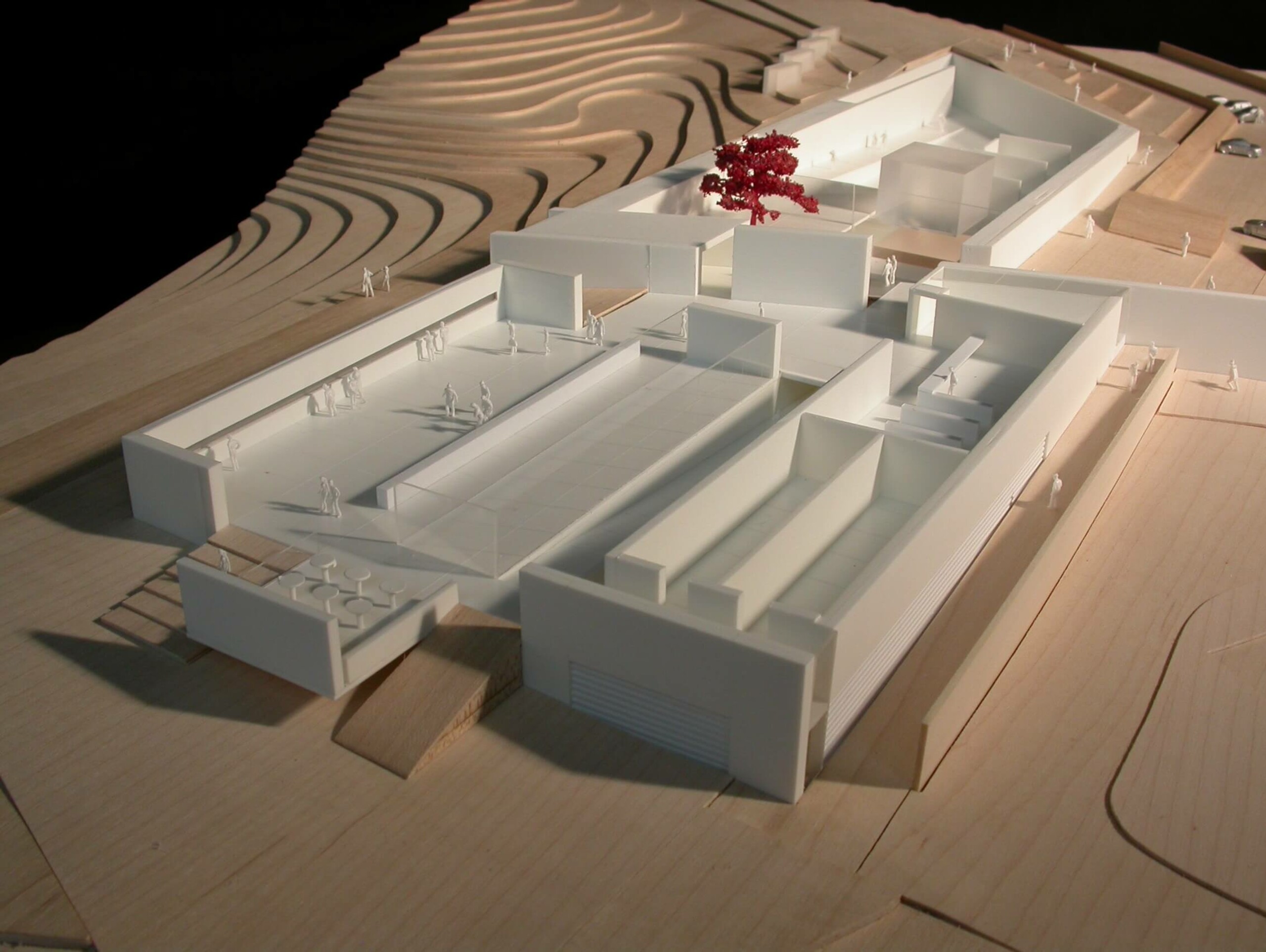 Giant's Causeway Vistors Centre Competition – Squire & Partners