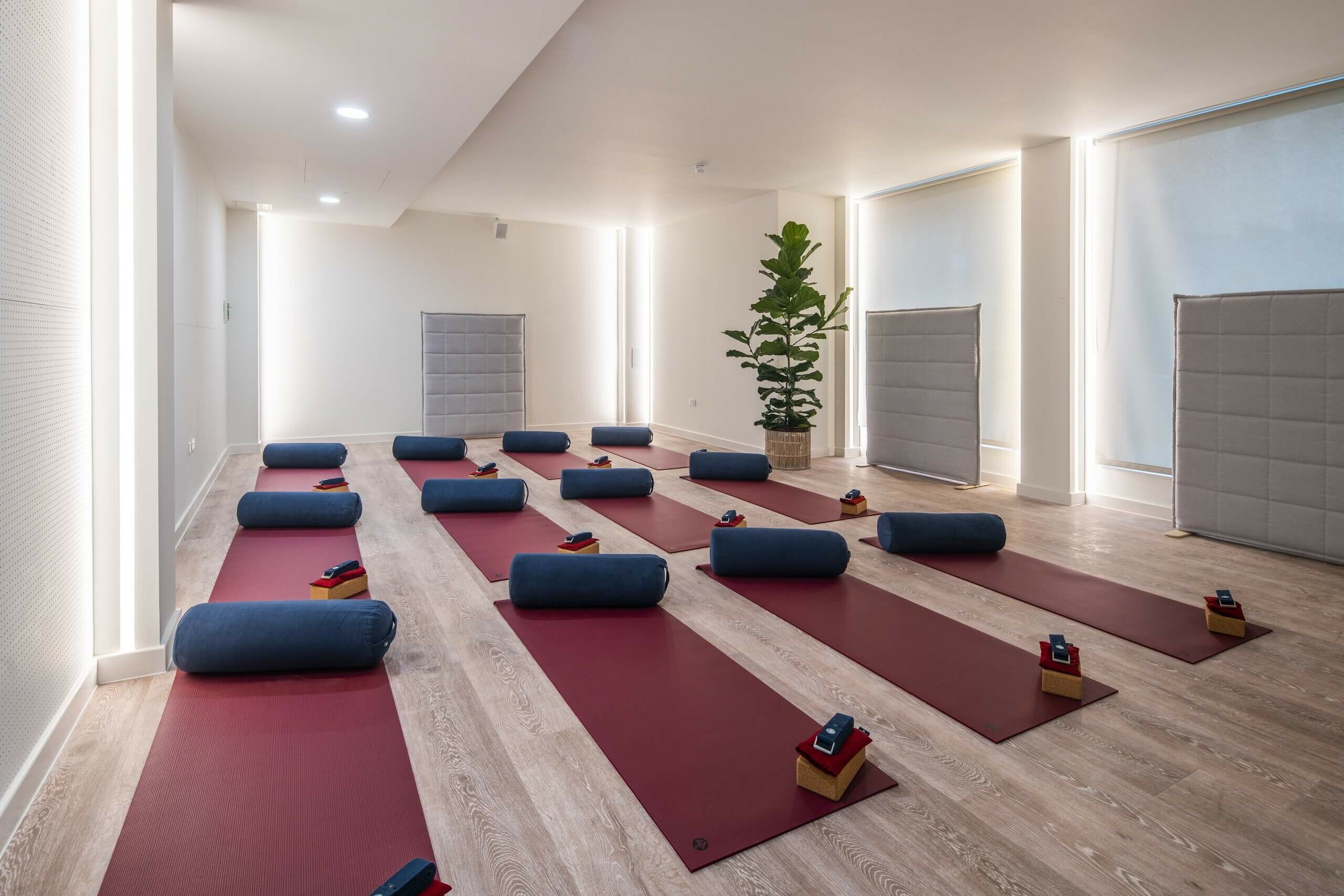 x+why, People's Mission Hall – Squire & Partners