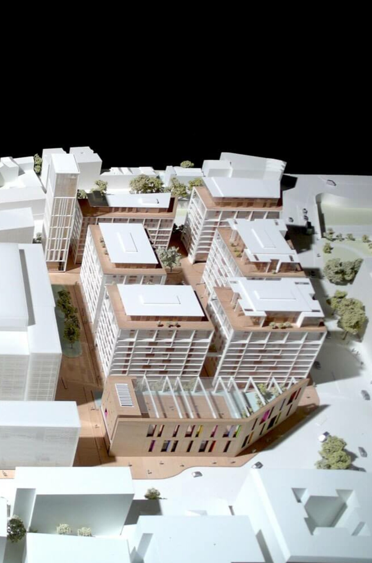 Kensington Primary Academy – Squire & Partners