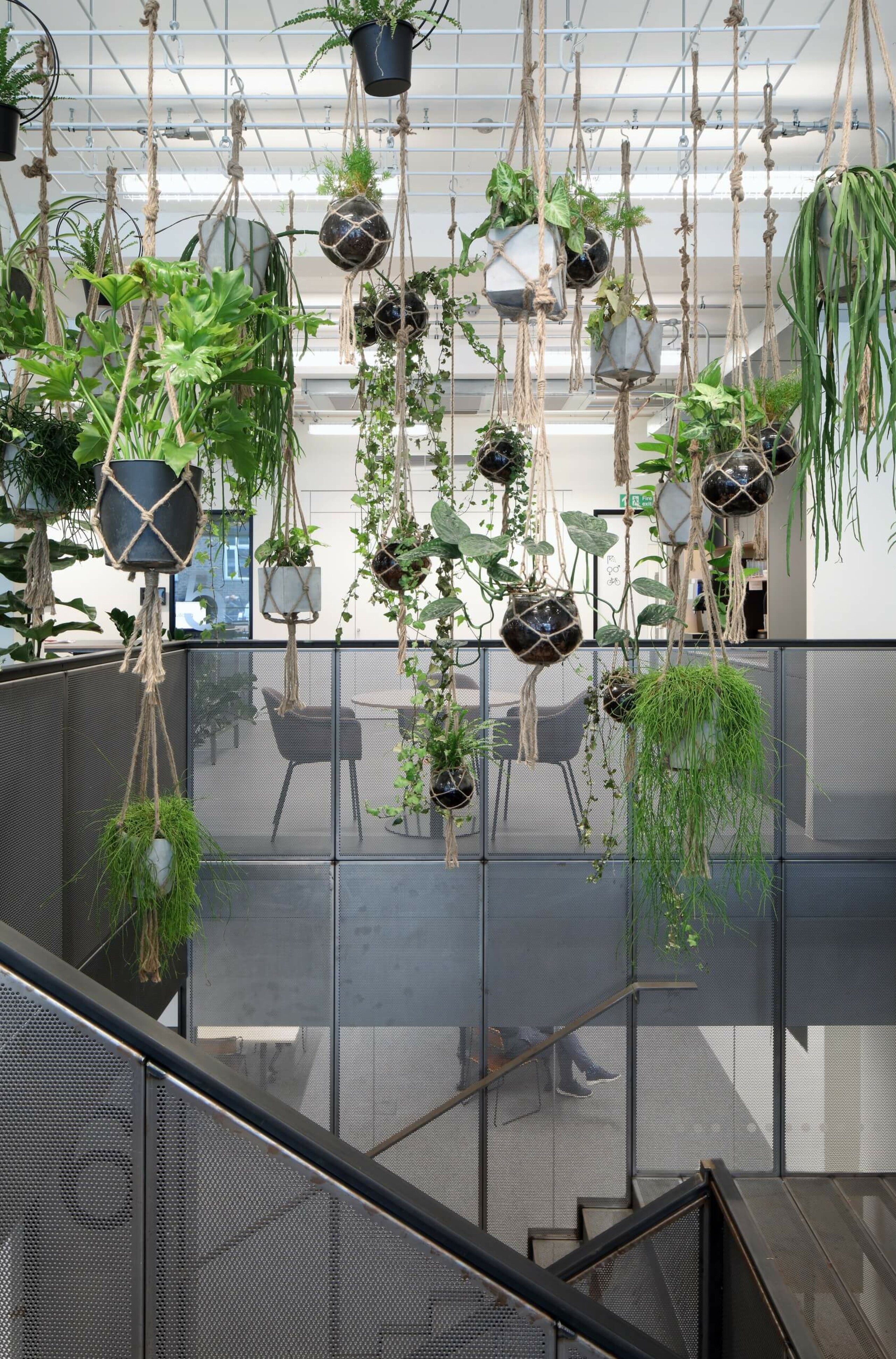The Society Building – Squire & Partners