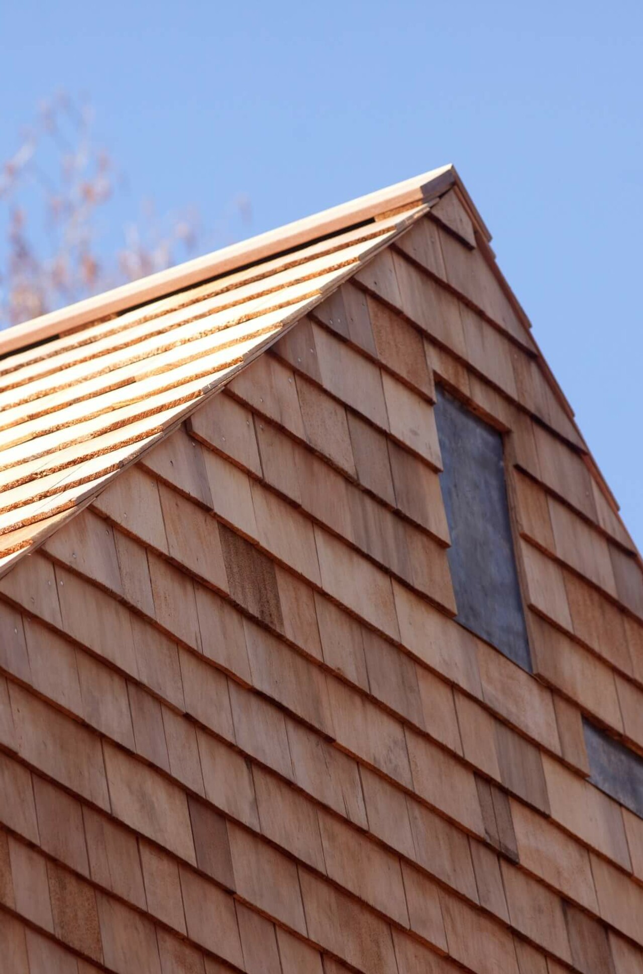 Bat House at Carlyon Bay – Squire & Partners