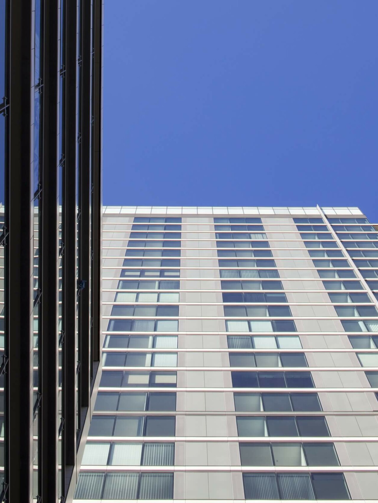 Landmark Docklands – Squire & Partners