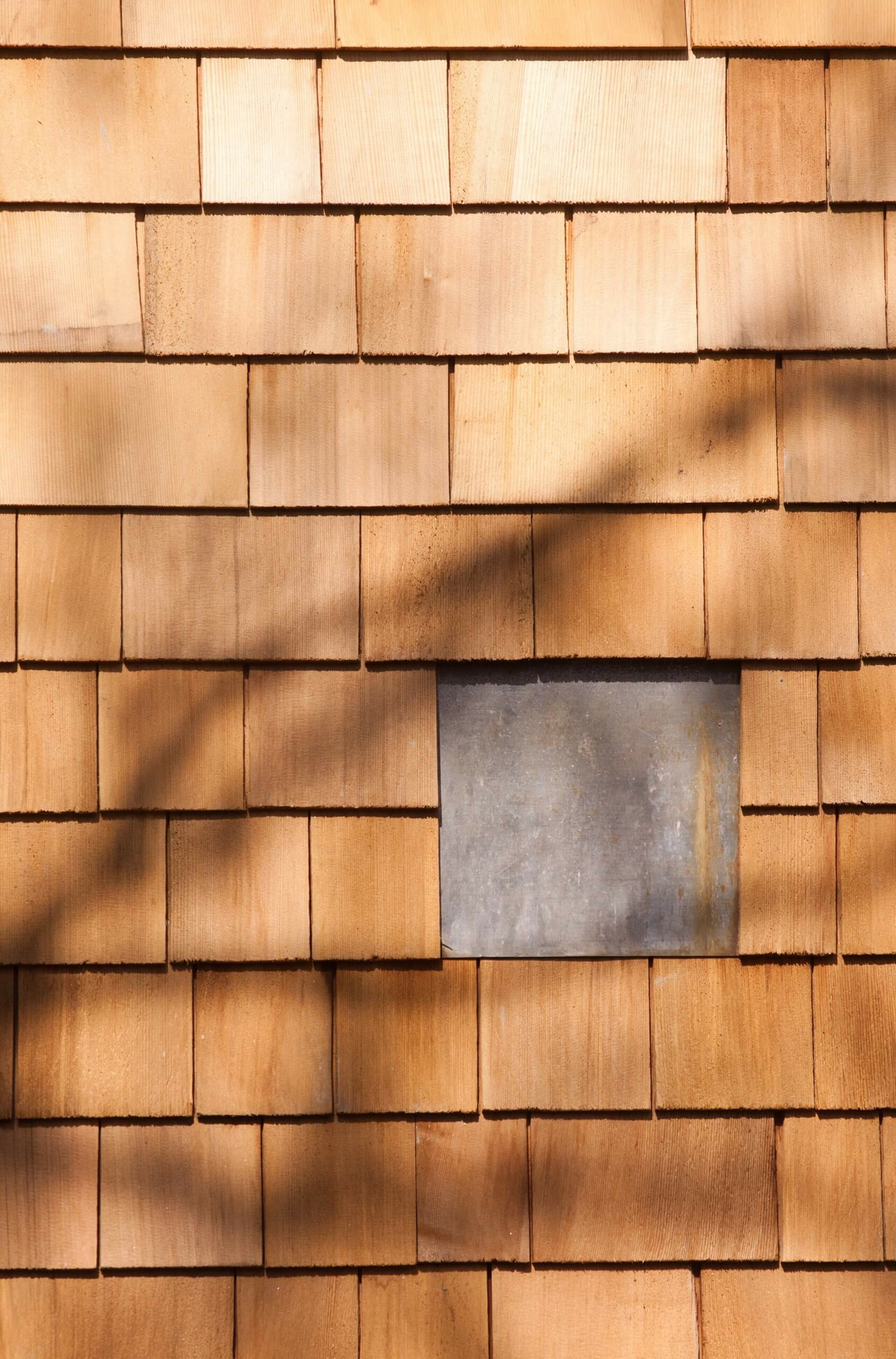 Bat House at Carlyon Bay – Squire & Partners