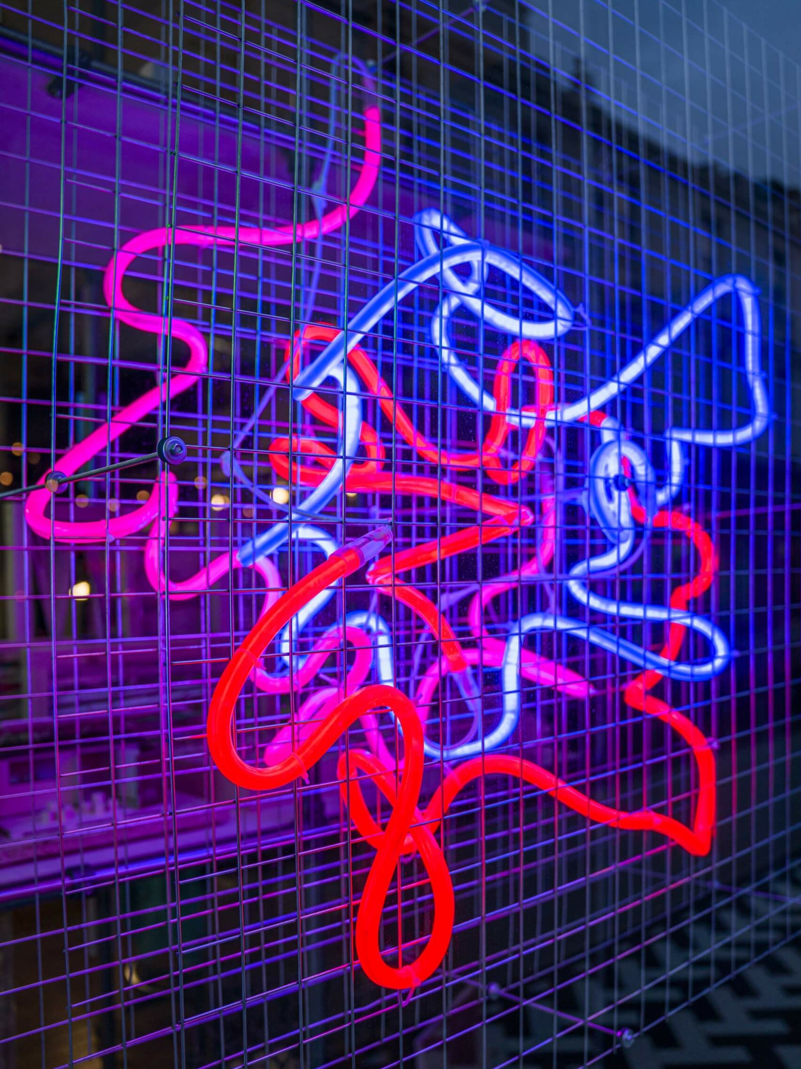 Winter Windows 2021 – Squire & Partners