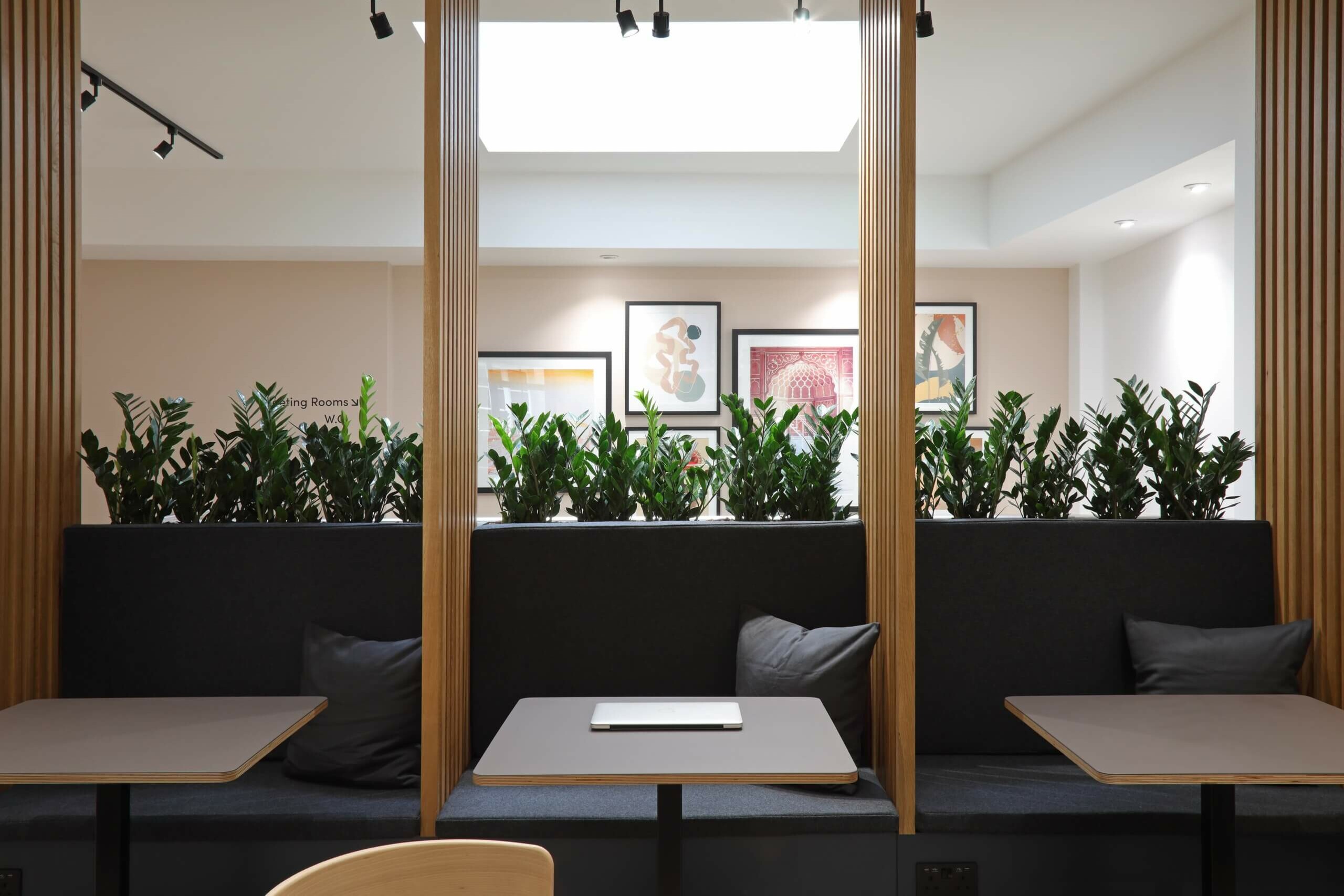x+why, The Fulwood – Squire & Partners