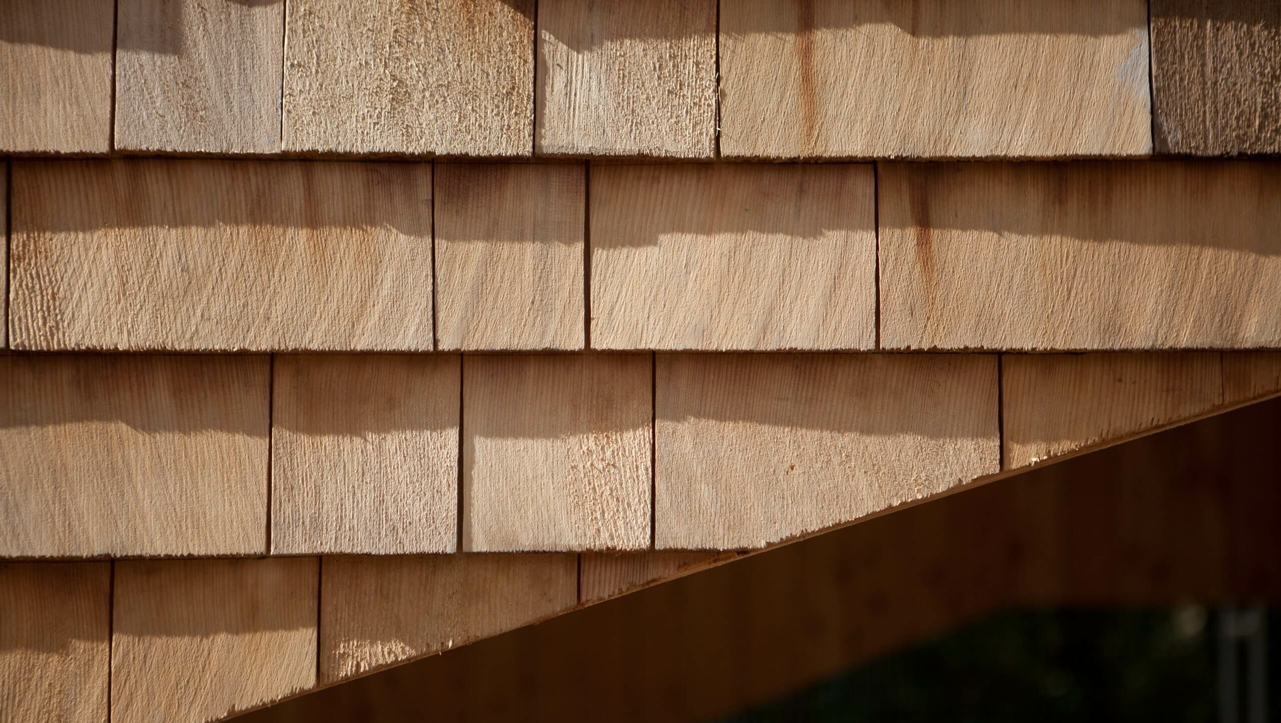 Bat House at Carlyon Bay – Squire & Partners